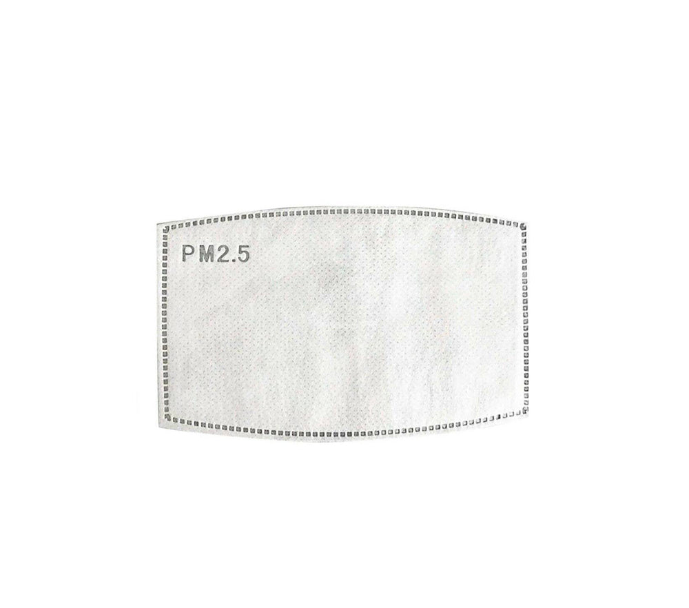 PM2.5 Filter (Pack of 20)